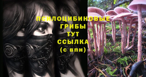 jwh Каменногорск