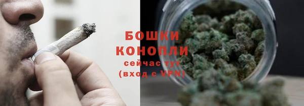 тгк Каменка