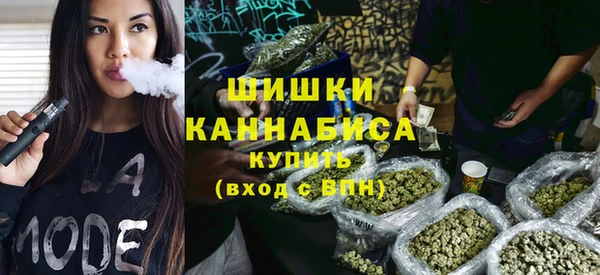 тгк Каменка