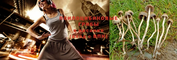 тгк Каменка
