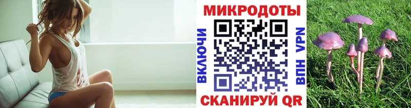 Псилоцибиновые грибы Cubensis  Купить где  Миллерово 